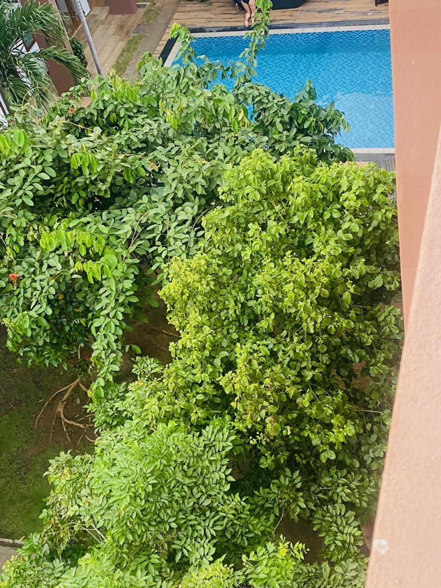 Hotel Cloud 9 Negombo Kültér fotó
