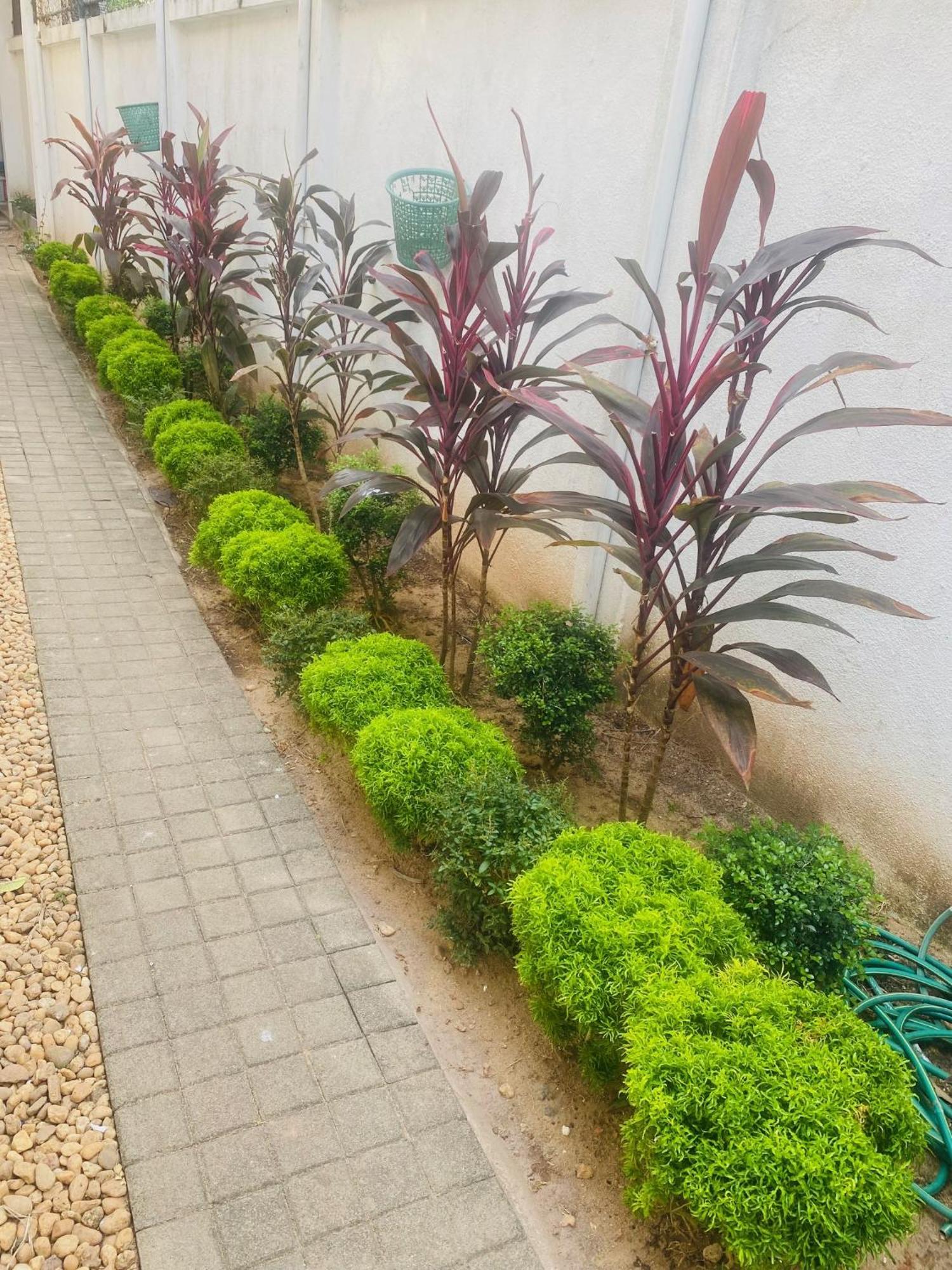 Hotel Cloud 9 Negombo Kültér fotó