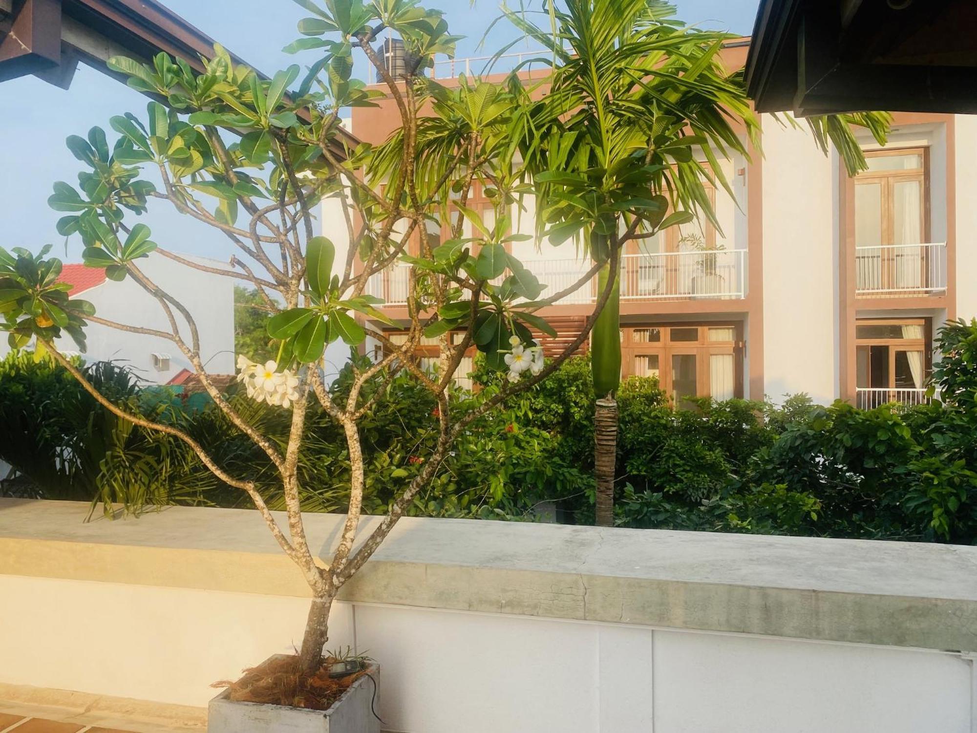 Hotel Cloud 9 Negombo Kültér fotó